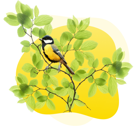 Единый онлайн-семинар 1С